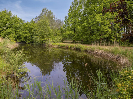 Kempseweg 15