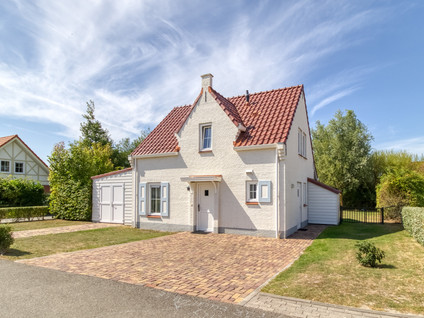 Duinroos 1