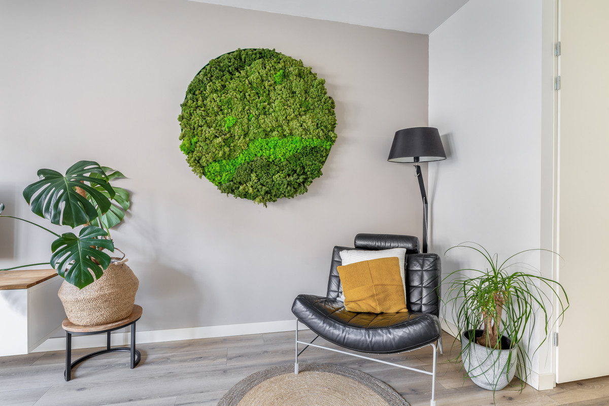 Tussenwoning te koop: Tapstraat 8, Rotterdam