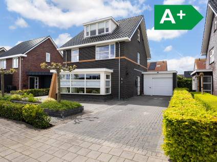 Dieuwert 9