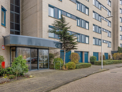 Ijsselzoom 96