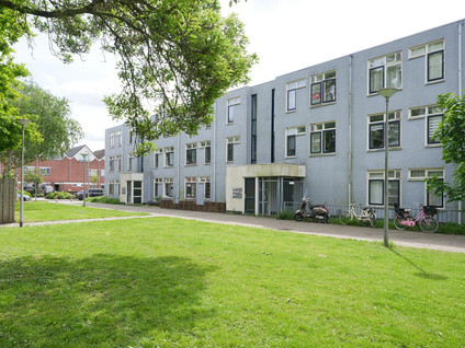 Bronsdijk 14