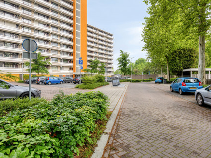 De Koppele 261