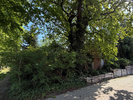 Noorderdiep 488