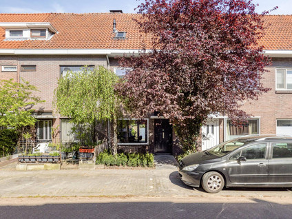 Wilgenroosstraat 9