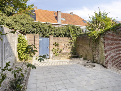 Wilgenroosstraat 9