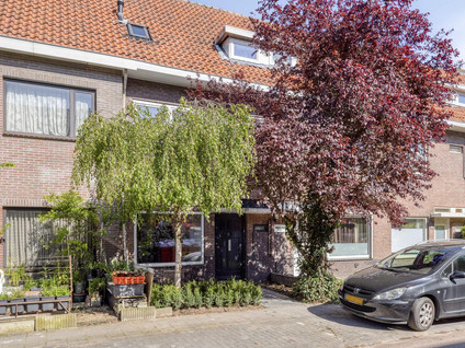 Wilgenroosstraat 9
