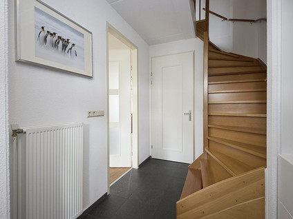 Jacobsschelp 36