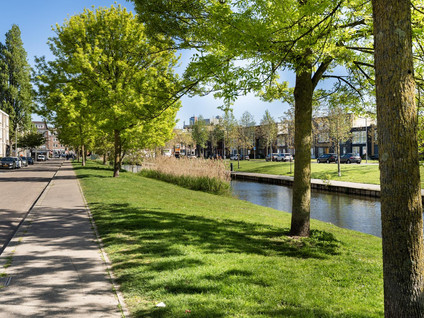 Lepelaarsingel 43B