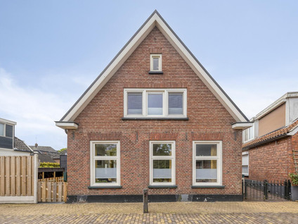 Hoge Hazel 3