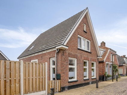 Hoge Hazel 3