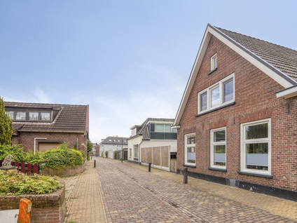 Hoge Hazel 3