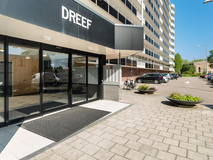 Dreef 8