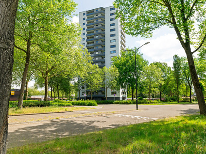 Korianderstraat 38