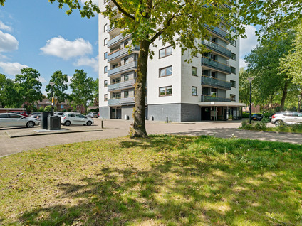 Korianderstraat 38