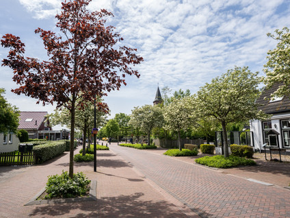 Kikkertstraat 6J