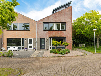 De Swaan 2
