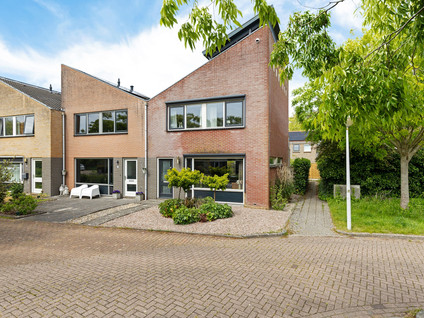 De Swaan 2