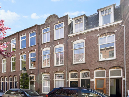 Van Loostraat 116