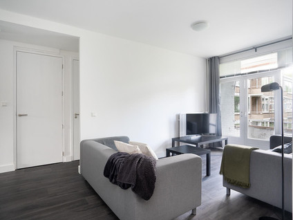 Meander 543