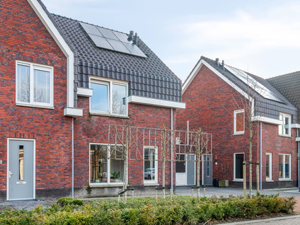 Toon Van Den Bornestraat 6