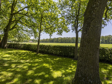 Lubberdinksweg 15