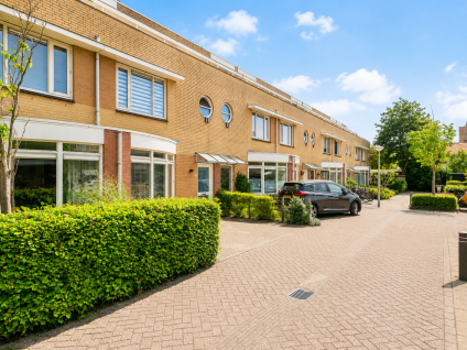 Rozemarijn 3