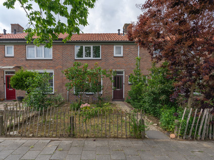 Bereklauwstraat 8
