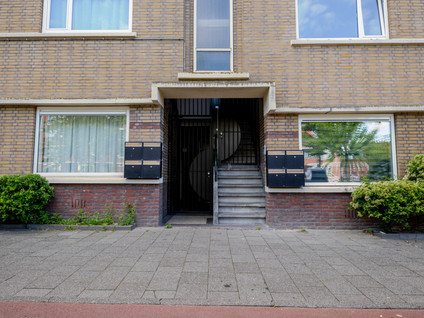 De La Reyweg 775