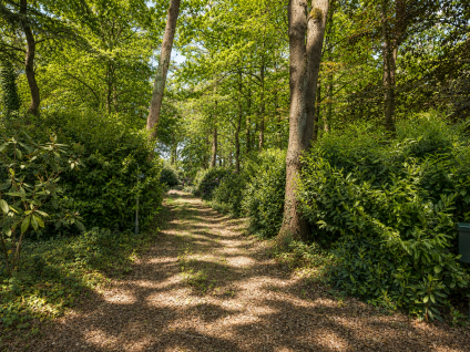 Vinklaan 