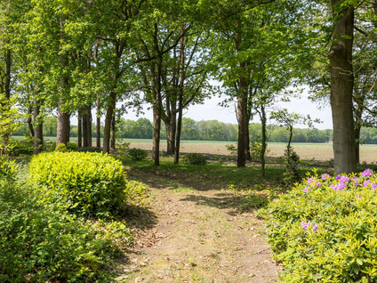 Vinklaan 