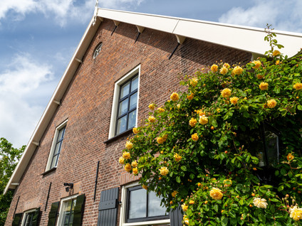 Brugdam 13a