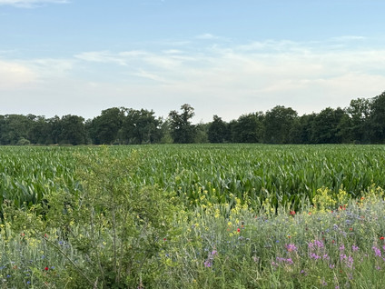Lendeweg 