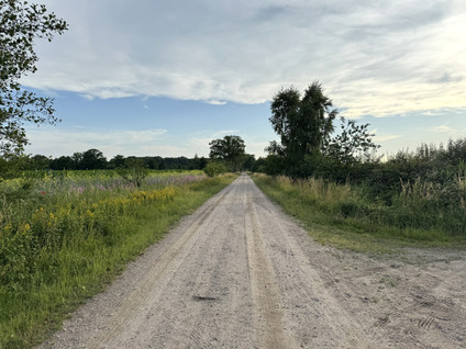 Lendeweg 