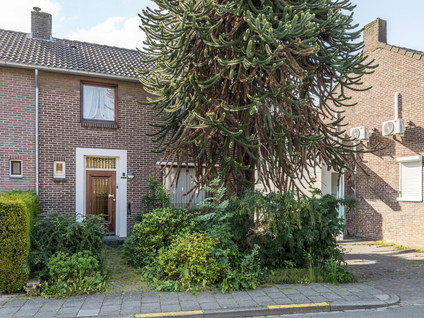 Wilgenstraat 3