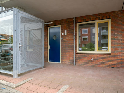 Grondel 3
