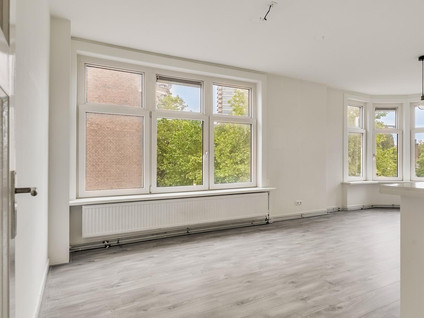 Zwarte Paardenstraat 171