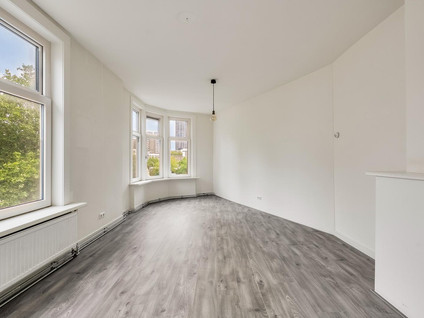 Zwarte Paardenstraat 171