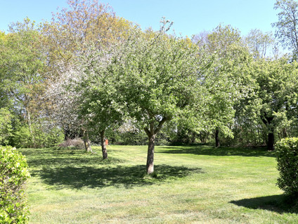 Woldlakeweg 6