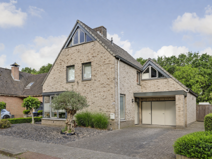 Geelrijs 25