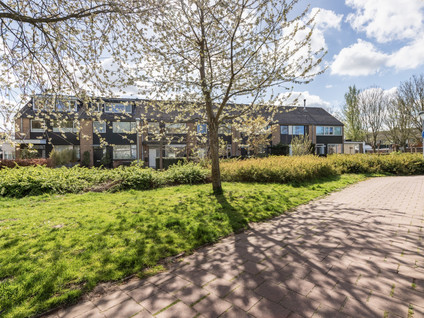 Noppenstraat 60