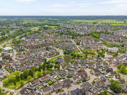 Goudvink 22