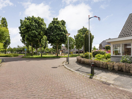 Goudvink 22