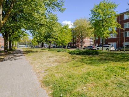 Delftselaan 143