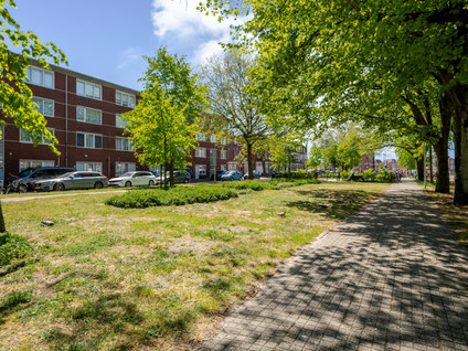 Delftselaan 143