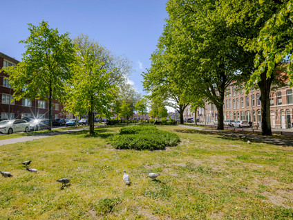 Delftselaan 143