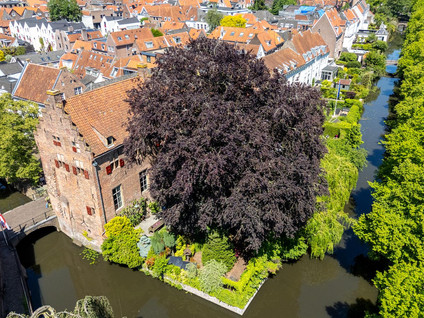 Muurhuizen 25