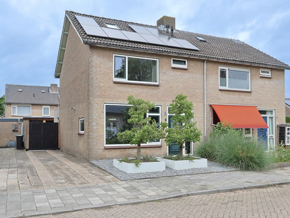 De Wilgen 4