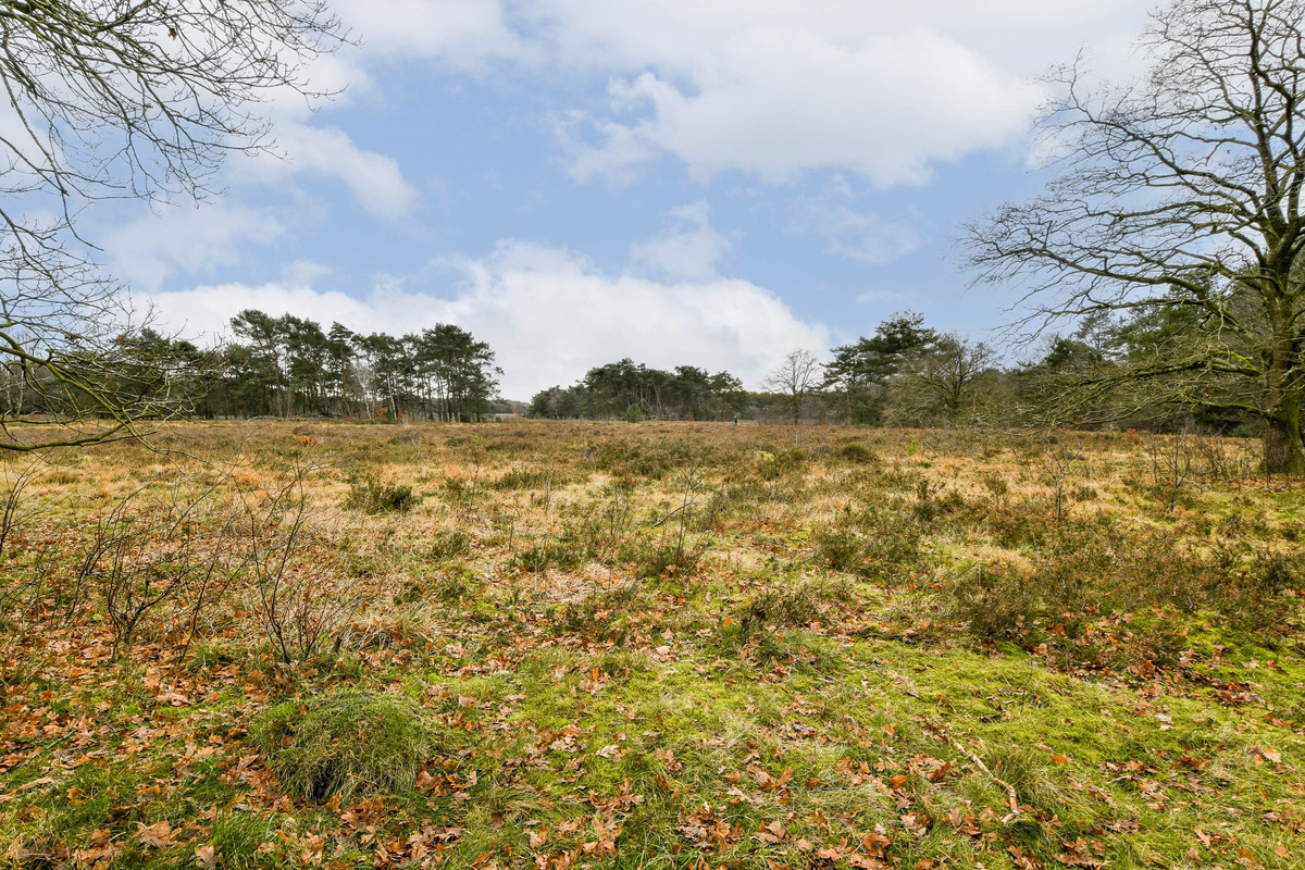 Appartement te koop: Graaf Wichmanlaan 13AB8, Bussum