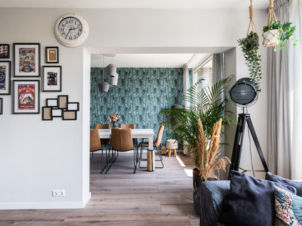Pieter de Hoochstraat 36
